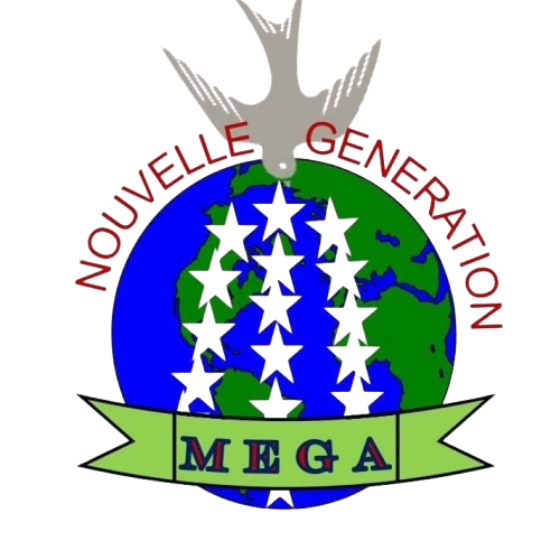 LOGO MEGA